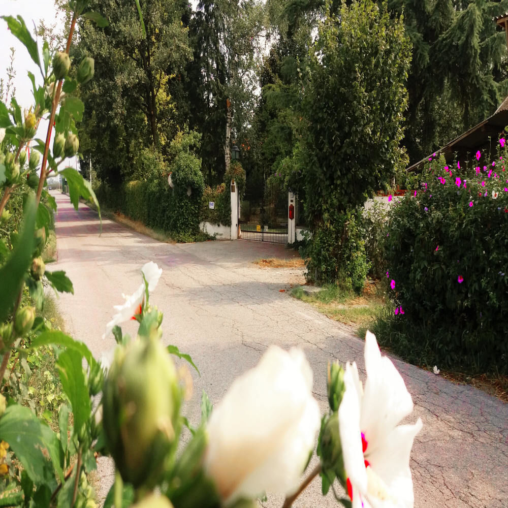Revello Villa Maria Sole מראה חיצוני תמונה